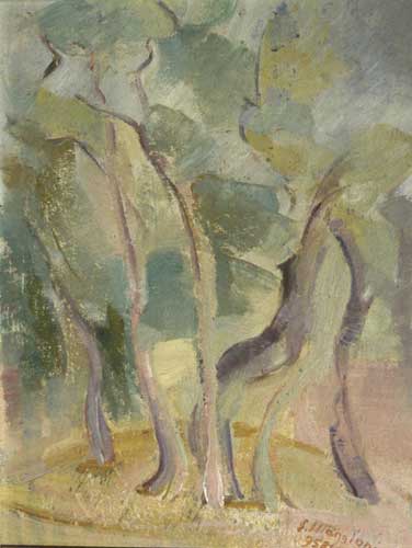Bosco di ulivi, 1953