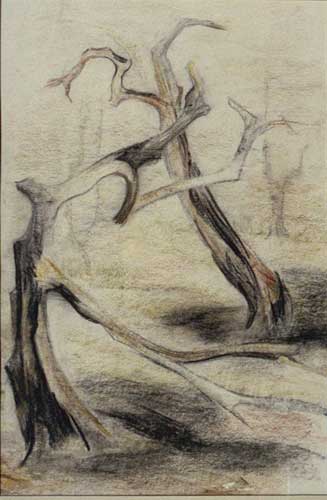 Spasimo degli ulivi bruciati, 1974