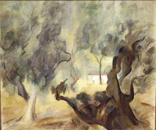 Uliveto luminoso, 1978