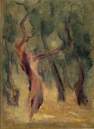 Ulivi liguri, 1971