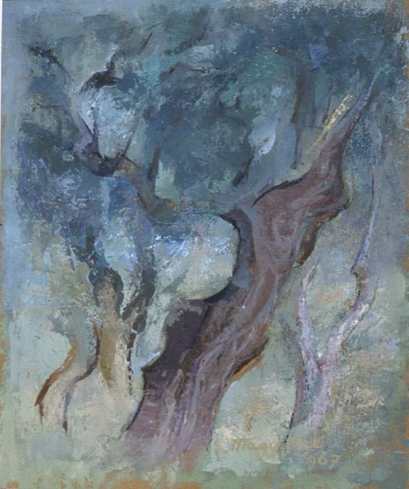 Ulivi di Liguria, 1967