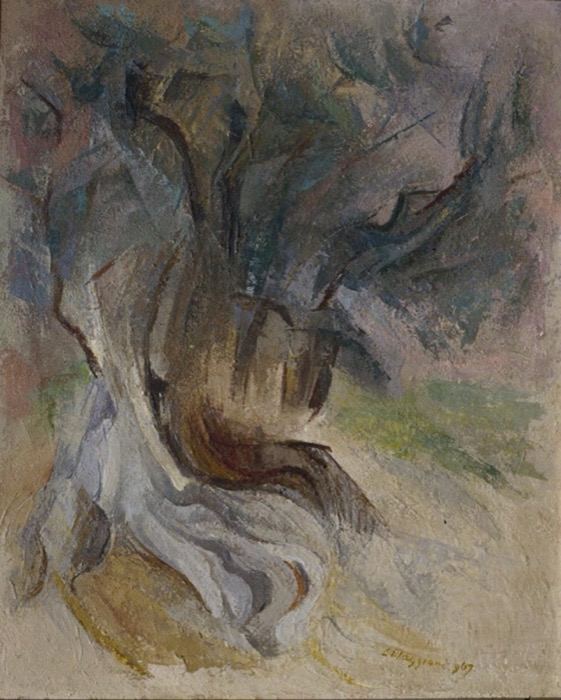 Ulivo di Grecia, 1967