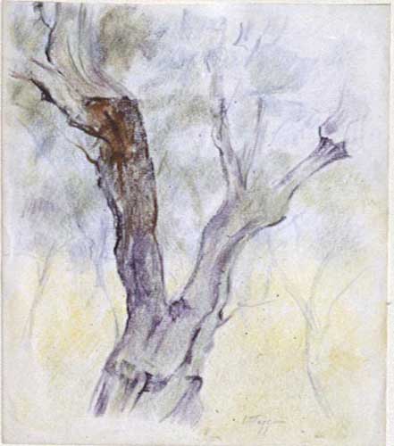 Ultimo ulivo, 1982